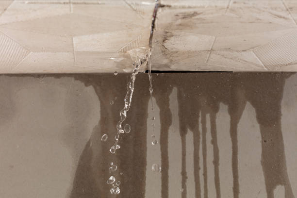 Professional Burst Pipe Cleanup technician working in Upland, IN